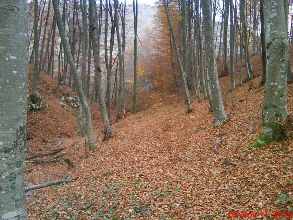 Отель Etno Kuce Miljevic Sipovo Экстерьер фото